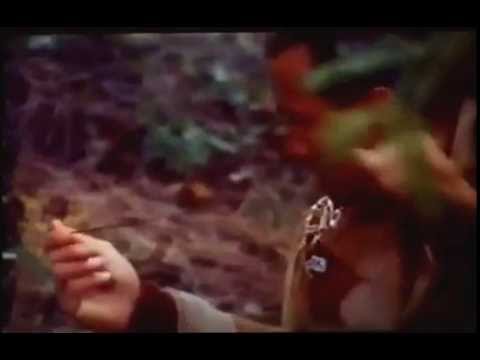 Trailer-Vorschau: Auf brennendem Eis