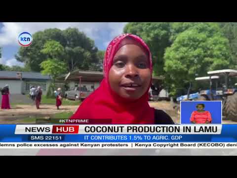 Govt urged to finance coconut production in Lamu, Kenya's coconut economy is about Ksh 12.2B
