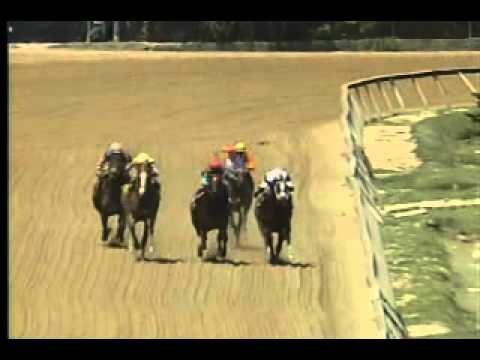 Pimlico 051812  Race 6 - Skipat Stakes