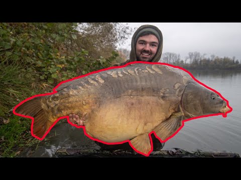 Der größte Karpfen, den ich je gesehen habe! Abhakmatte zu klein! 😰