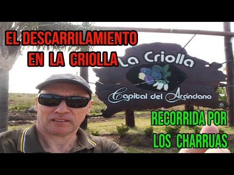 ANTIGUO TREN DESCARRILADO POR LA ZONA DE LA CRIOLLA, CONCORDIA.