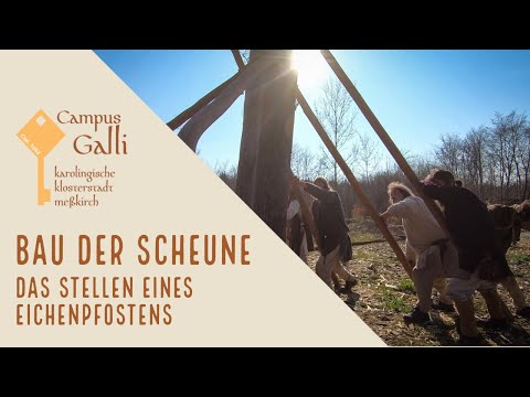 CAMPUS GALLI - Aufstellen eines Eichenpfostens. Der Bau der Klosterscheune.