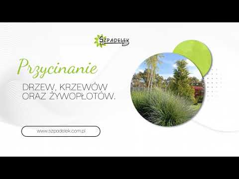 Zobacz filmy, Szpadelek Krzysztof Piotrowski, Szczecin