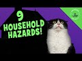The 9 Types of Cat Related Hazards in Your Home