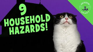 The 9 Types of Cat Related Hazards in Your Home