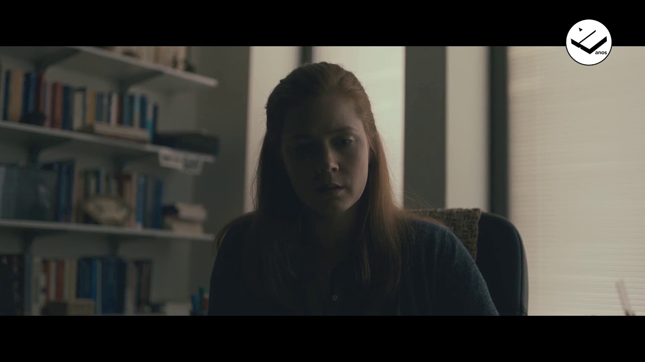 Legenda Descritiva/LSE - A Chegada - Iguale