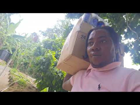 Restocking and a quick update on the shop 