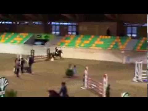 Jessica Hirt IENA Avenches Orlando XV R/N100 2014