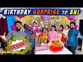 Birthday Surprise PRANK On ANI Went Wrong Am Sorry ENG Subs DAN JR VLOGS
