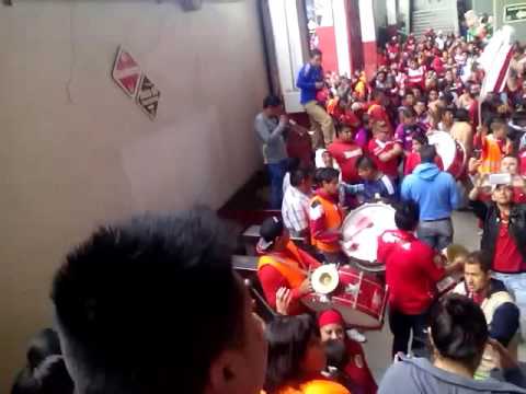 "Perra brava" Barra: La Perra Brava &bull; Club: Toluca