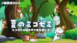 【1時間耐久BGM】夏のミコゼミ 〜森の中で夏を感じる環境音〜【さくらみこ】【ホロライブ切り抜き】