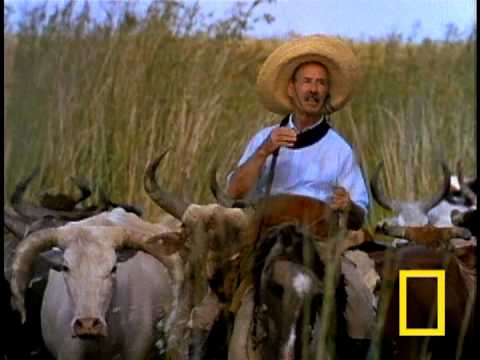 Gauchos | National Geographic