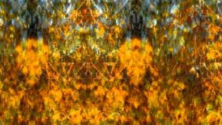 Someone Calls You (Steve Kilbey)
