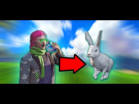 hqdefault.jpg