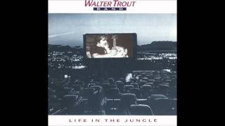 Walter Trout   Cold Cold Feeling live from Life in the Jungle