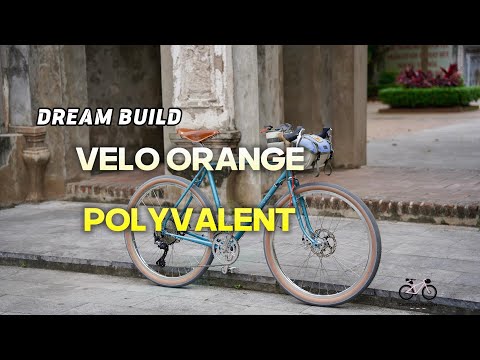 Dream Build - Velo Orange Polyvalent Metallic Glacier