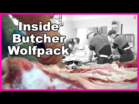 Inside Butcher Wolfpack: Auf dem Weg zur Weltmeisterschaft 🏆 der Metzger 🔪🥩