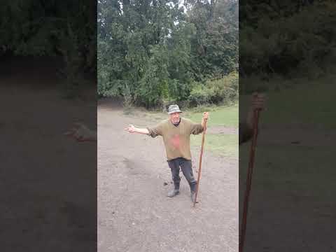 Sacalu de padure oi frumoase 2