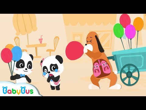 Baby Panda Blows up Big Balloons | Breathe With Your Lungs | Preparation for Kindergarten | BabyBus