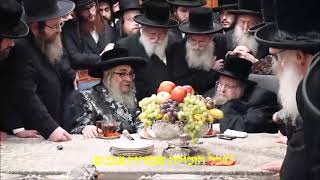 האדמו"ר סאטמר ר' אהרון מבקר את האדמו"ר בלזר