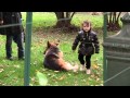 Il cane Blu - bravibimbi Il cane Blu