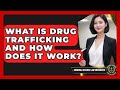 What Is Drug Trafficking And How Does It Work Criminal Defense Law Uncovered
