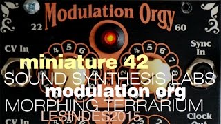 Video thumbnail for [CONCERT] Mutable Instruments CLOUDS //Synthetic Sound Labs MODULATION ORGY // Miniature 42 by LESINDES