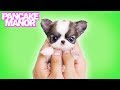 I Love Dogs Song For Kids Pancake Manor