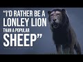 I'd rather be a LONELY LION than a POPULAR SHEEP! (Official Music Video) Fearless Motivation
