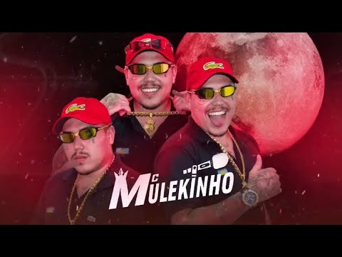 BEM VINDA VAGABUNDA CE TA NO BAILE DO BEGA - DJ ARANA MC MULEKINHO MC ZL ( LANÇAMENTO OFICIAL )