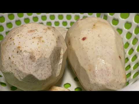 Yummy Taro Spring Roll homemade by lovely mom ឆៃយ៉ត្រាវសាច់ជ្រូកបំពង