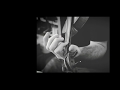George Gershwin/Svend Asmussen - Embraceable You
