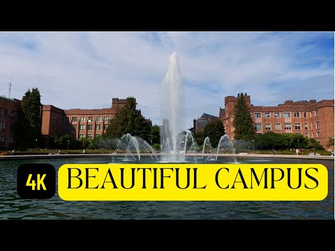 University of Washington Tour | UW Campus Tour | Seattle POV Walk in 4K