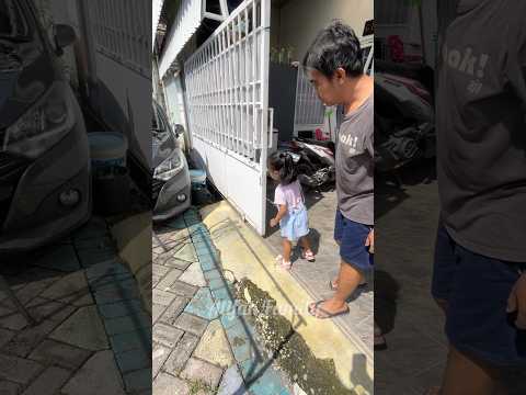 Ada Biawak Mau Masuk Ke Rumah ⁉️