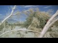 Navy SEAL Goggins Trains In Desert