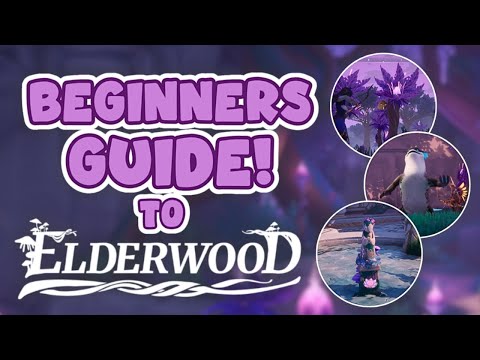Palia Elderwood Map Beginner Tips: What You NEED to Know!