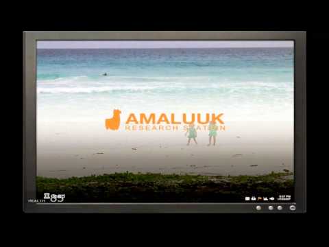 Half-Life 2-Black Snow Part 1