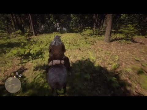Red Dead Redemption 2 Too Much Activity Glitch Fix