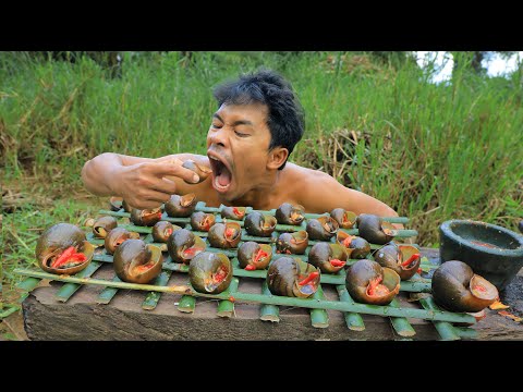Find and cook snail in Mud-  Cooking For Food Eating delicious