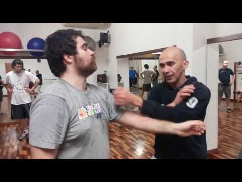 Ving Tsun - Wong Shun Leung system -