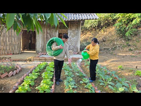 Good deed: Kind CEO helps homeless single mother improve her new life in an abandoned old house.