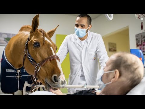 Peyo - das magische Pferd