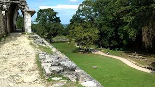 preview picture of video 'Ciudad Prehispánica de Palenque, Chiapas.'