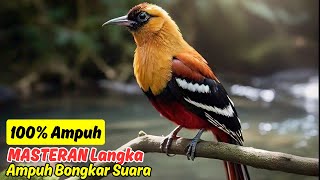 Download lagu KRETEKAN GANAS LEVEL 100! MURAI BATU DIAM AUTO NGEKEK 10 MENIT! mp3 Download lagu KRETEKAN GANAS LEVEL 100! MURAI BATU DIAM AUTO NGEKEK 10 MENIT! mp3