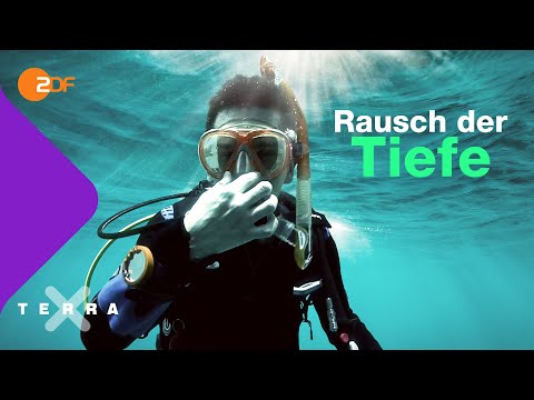 Was passiert in unserem Körper, wenn wir tief tauchen | Terra X plus