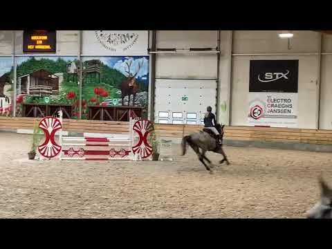 Kornet's Darco BH (Cornet Obelensky x Darco)