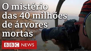 Miniatura do vídeo