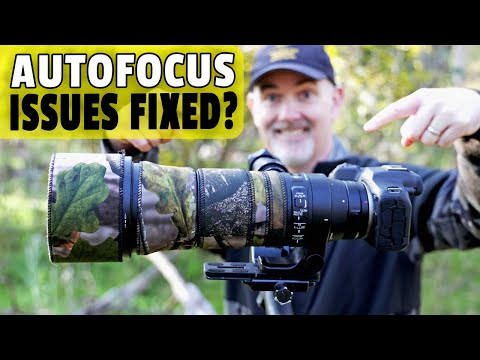 Sigma 150-600mm BEST Settings To Reduce AF Pulsing Including Field Test!