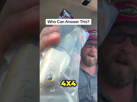 What’s the Best Line for a Glide Bait? | Bullshad 4x4 Swimbait Setup