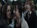 Pride And Prejudice Harry Potter Version